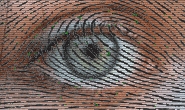 retina scan / fingerprint